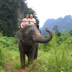 Bird-Michelle-Warren-elephant-Thailand