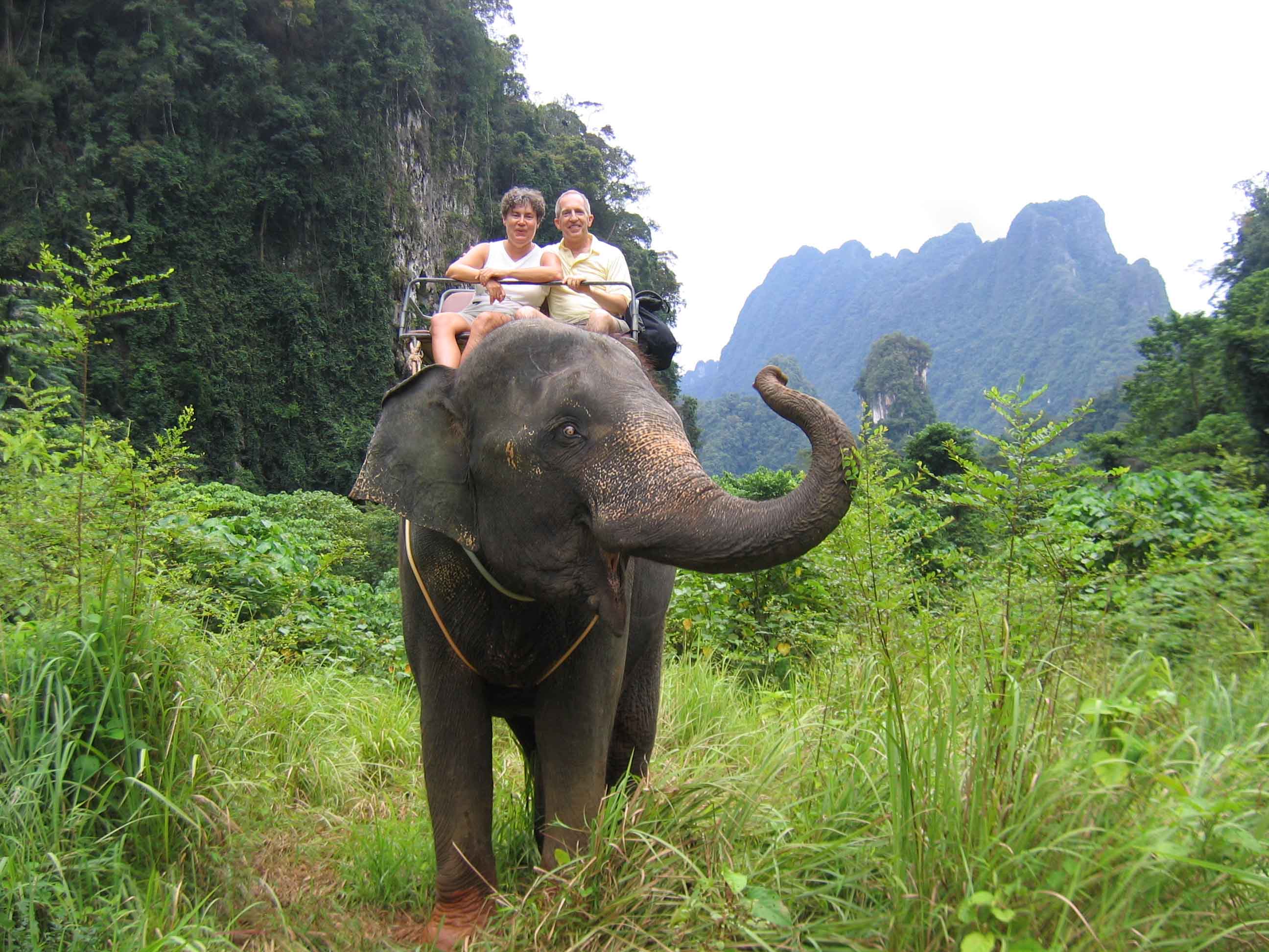An elephant can climb. Экскурсия к слонам в Адлере. Мир наизнанку туристы на слонах.